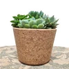Home and garden  decoration injection mould flowerpot small flower pot wooden pot cork planter succulent planter