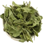 HOT HERB FOR YOUR HEALTH AND BEAUTY PEPPER MINT LEAVES