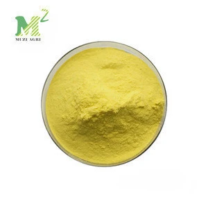 Hot sale 98% gingerol CAS 23513-14-6 ginger root extract