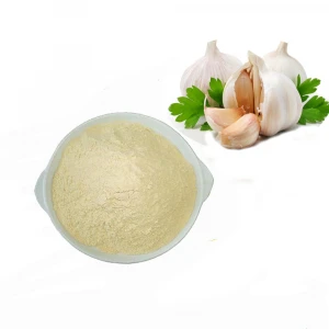 Hot sale! Manufacturer Garlic P.E. Alliin 1%~6% Powder OEM Service