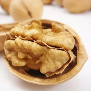 Hot sales Chinese snack Walnut with favorable price