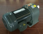 Hot Sell Quality Worm Gear Motor