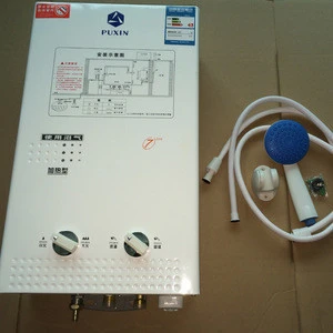 Household Instant Biogas Water Heater