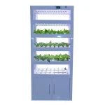 Indoor Plant Growing System Commercial Hydroponics Tray For Agricultural Greenhouse