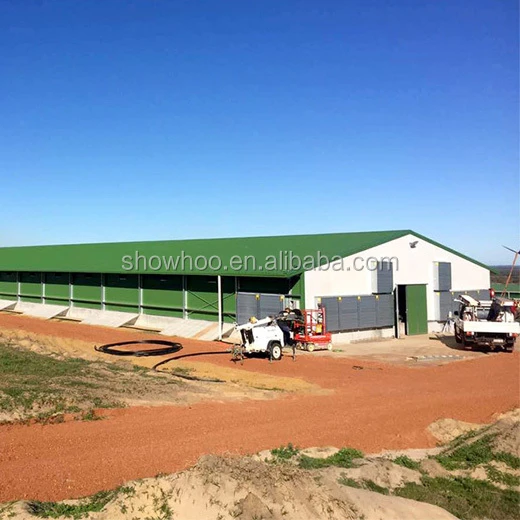 Industrial poultry steel structures sheds chicken farm building