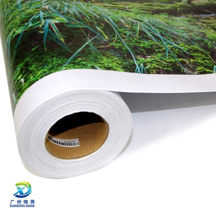 Inkjet Printable Sticker Vinyl Roll Printing PVC Self Adhesive Vinyl Sticker