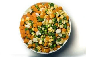 IQF Frozen Mixed Vegetables