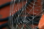 Japanese quality fishing net with good price