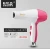 Import Jieyang hair dryer factory Household hair dryer from China