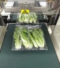 kl-600tx vegetable packing machine with TTO date Printer