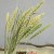 Import Kunming Wholesale Natural Decor Flower Beautiful Multi Colors Dried Small Millet Flower from China