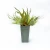 Latest Product  Artificial Staghorn Fern  Decorative Plastic Artificial Plant Leaf