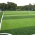 Import Lead free artificial grass football field for sports fields from China