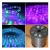 Import LED Rainbow tube Lights Strip  RGB SMD Flexible Strip Light from China