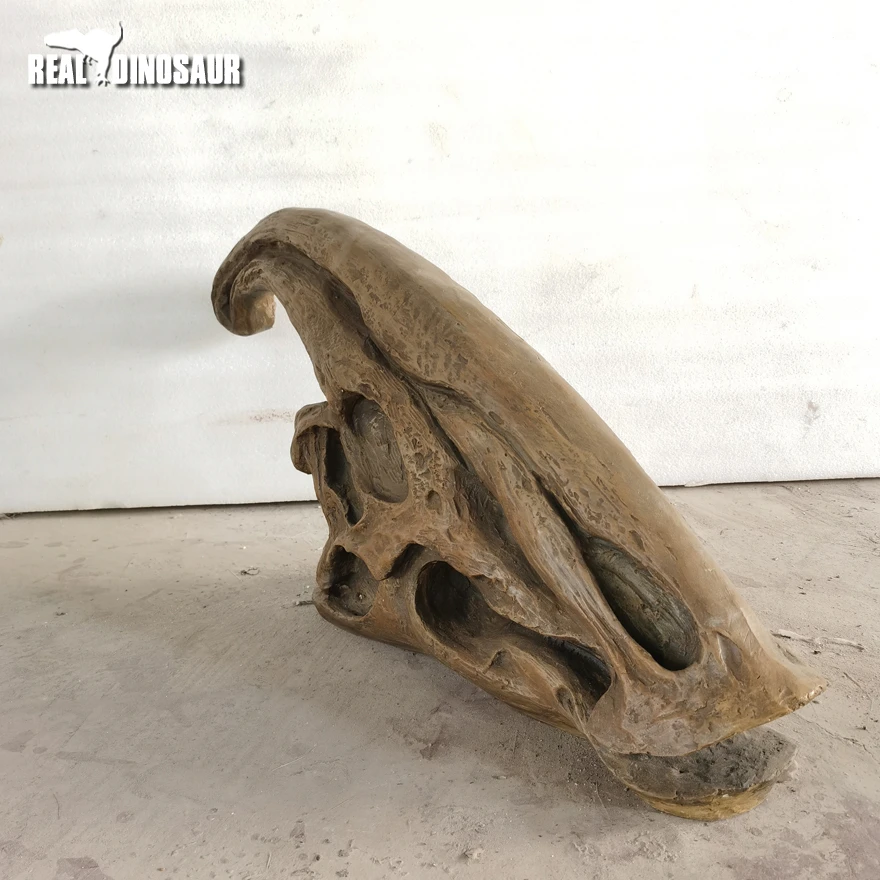 Life Size Fiberglass T-Rex Dinosaur Skulls for House Decoration