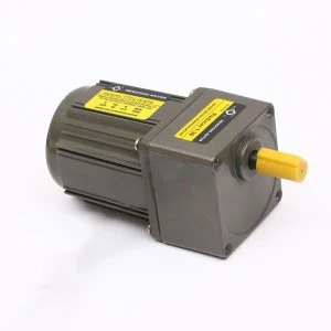 LOW RPM 25W Small AC Gear Motor for Rotisserie