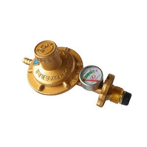 LPG low pressure gas regulator