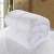 Import Luxury Hotel King Size Comforter from China