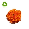 Marigold  Flower extract Zeaxanthin beadlets 5%