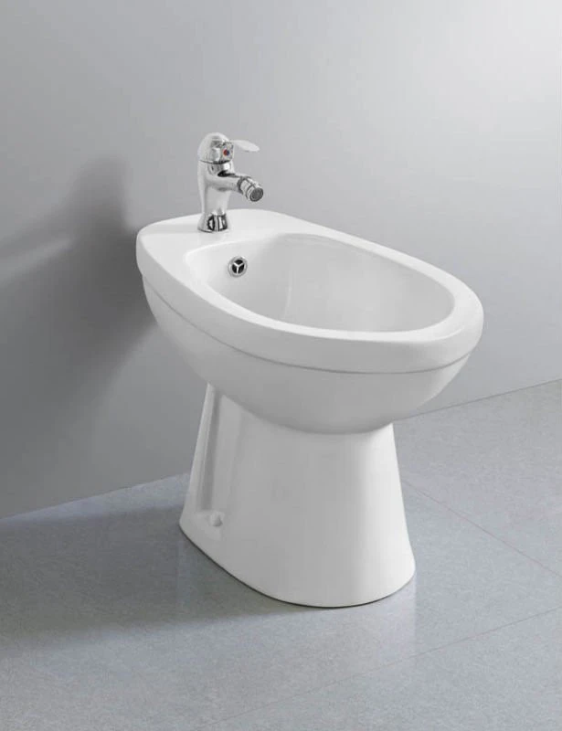 Medyag OEM/ODM MJZ-0909 S-trap 170mm Bathroom Elongated Floor Mount Toilet Sanitary Ware Bidet