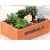 Import modern garden balcony decoration succulent indoor plant planters flower pots from China