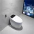 Import Modern style ceramic one piece siphon flushing toilets seat remote control automatic smart toilet from China