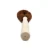 Natural Coconut Fiber Brush Head and Rubber Wood Handle for Bathroom And Household Kitchen