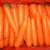 Import New crop China fresh carrot export from China