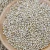 Import New crop white foxtail millet for bird seed from China