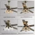 Import new design factory wholesale Stainless steel paint five-blade control ceiling fan from China
