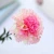 Import New Mothers Teachers Day Spot Wholesale Single Simulation Flower Carnation from China