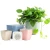 Import Nordic square fibres self watering flower pots planter plastic plant pot from China