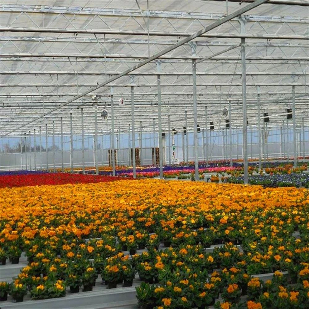 nursery farming grow facility agriculture greenhouse