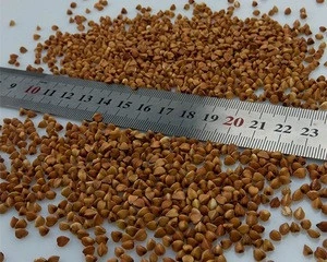 Organic dried roasted buckwheat