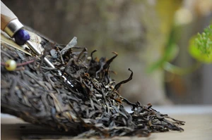Organic Herbal Yunnan Puer Tea Dry Storage Puer Tea 357g Raw Puer Tea Cake