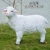 Import Outdoor decoration resin animal sculpture life size emulation cheap fiberglass sheep statue outdoor from China