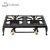 Import Outdoor Portable LP Gas Camping Cast Iron Double Cooktop from China