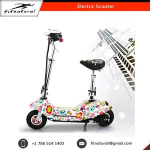 Outdoor Sports Foldable 201-500w Power Electric Motorcycle Scooter