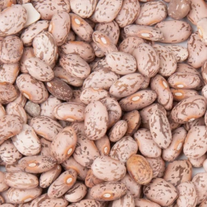 Peru Grown Fresh Pinto Beans Dry Robinson Fresh MOQ 50 LBS Quick Delivery