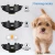 Import Pet training product Amazon blast models remote control adjustable collar dog training device from China