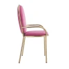 Pink Fabric Small Metal Dining Fabric Velvet Restaurant Chair
