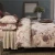 Import plant or solid designs flannel 4pcs bedding sets for four seasons from China