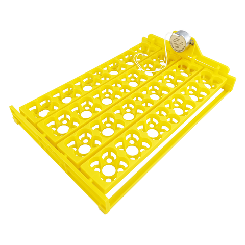 Buy Plastic Poultry Incubator Egg Tray With Synchronous Motor Egg ...