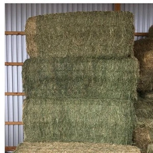 premium alfalfa hay, alfalfa hay price, alfalfa hay bales