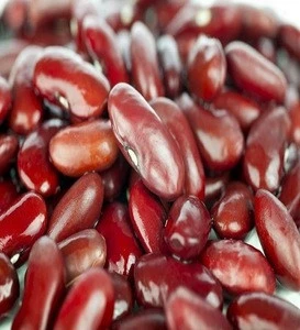 Premium Dark Red Kidney Bean