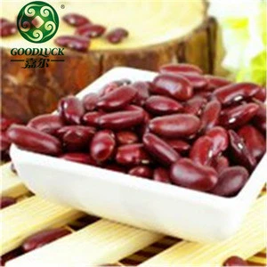 Price of Ethiopian Red Kidney beans and Butter beans Chinese Agents