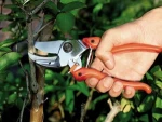 Professional Garden Anvil Pruner