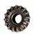 Import Quality Differential Bevel Gears Side Gears for Truck Parts from China