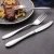 Import QZQ Mirror Polish 20Pcs Flatware 18/10 stainless steel silverware cutlery set from China