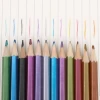 REACH certified high quality metallic pencil color pencil